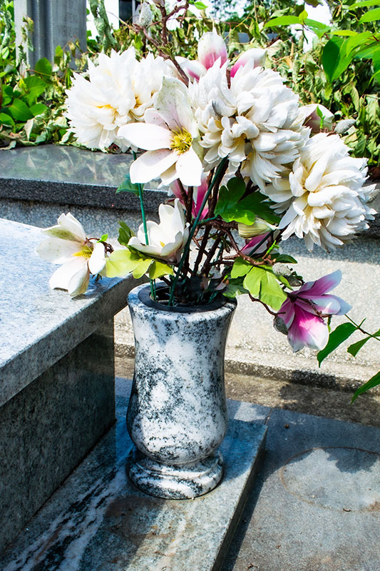 Klasyczny wazon granitowy obok sarkofagu Kamelia