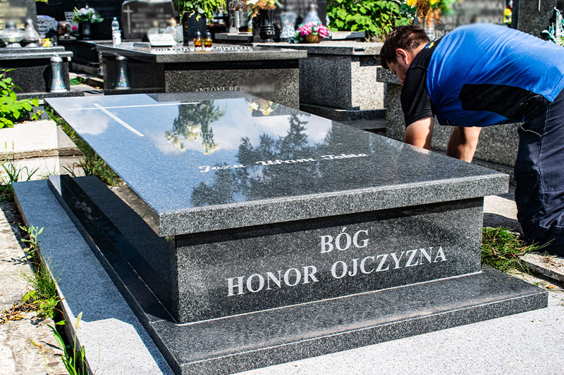 Kamelia w wariancie z granitu Impala