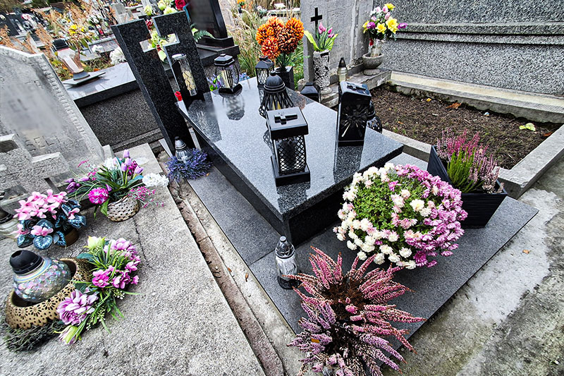 Kamelia z indywidualnym projektem krzyża